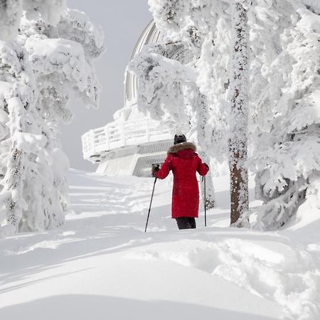 Chalets Du Domaine - De Luxe Notre-Dame-Des-Bois Dış mekan fotoğraf