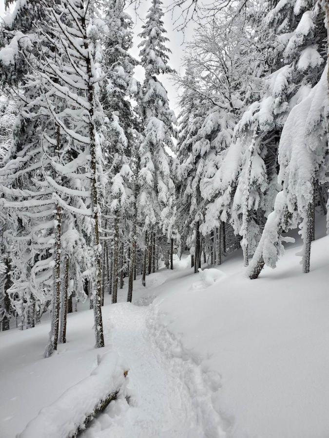 Chalets Du Domaine - De Luxe Notre-Dame-Des-Bois Dış mekan fotoğraf