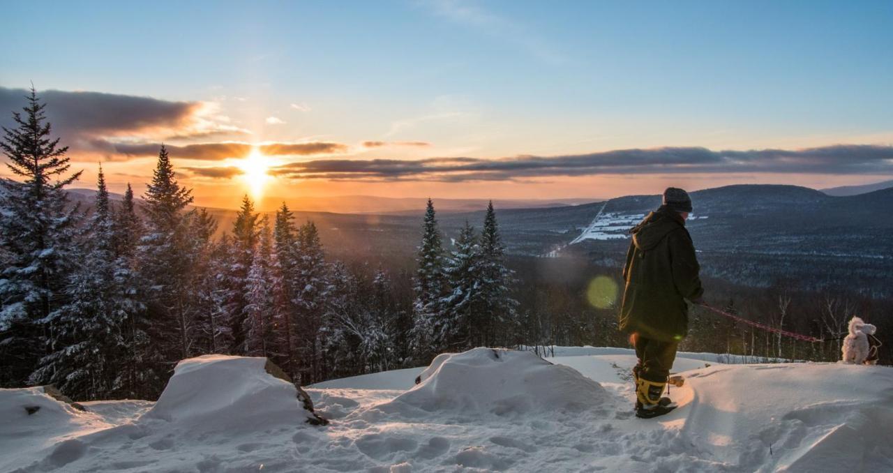 Chalets Du Domaine - De Luxe Notre-Dame-Des-Bois Dış mekan fotoğraf